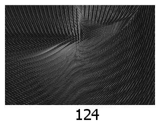 algorithmic art, posters, generative art, images